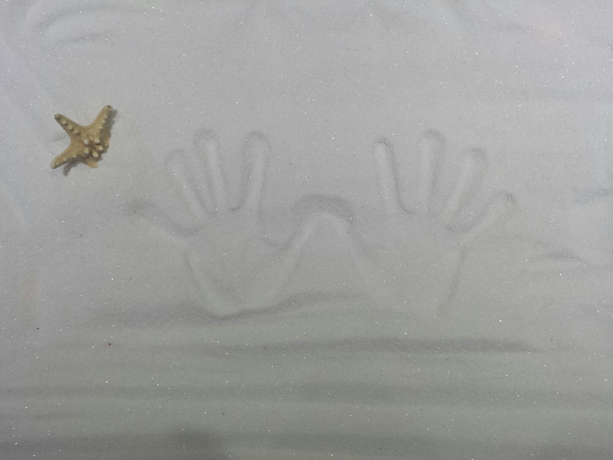 oh卡 拼贴画