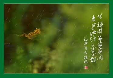 黄梅时节家家雨,青草池塘处处蛙