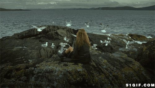 梦境迷踪，解析梦中猫救我却被另一只猫吞噬的深层含义