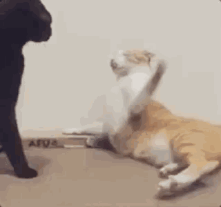 批判性思维丨致本想追逐有趣灵魂,最后却跟随大流的你