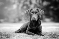 精神病有什么好笑的?