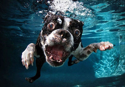 3765900638155358.jpg 7-1211141K438_副本.jpg