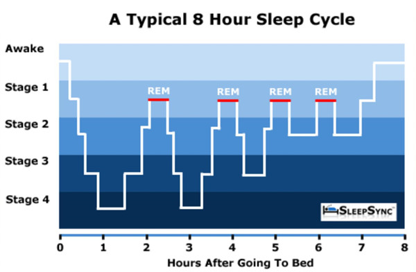 90分钟睡眠周期图图片