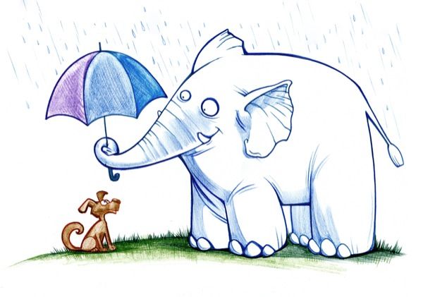 4608917111836260.jpg elephant_helping_dog.jpg