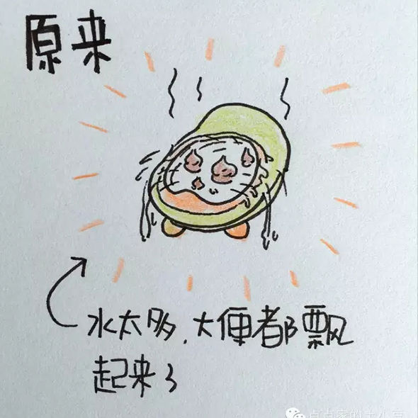 8585662256925626.jpg 20160226_155502_012.jpg