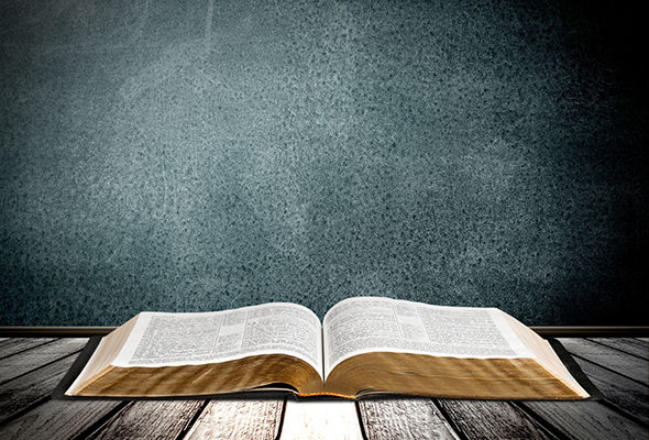 8820556310943247.jpg 41102351_xxl.jpg