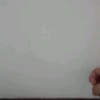 1002441281