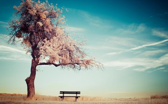 森田疗法治疗焦虑症的补充实践方法心灵重塑