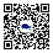 5568088955941080.jpg 640.webp (5).jpg