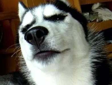 这是一种情绪的表达,它以傲娇的姿态,轻蔑的语气和瞧不起的眼神,将