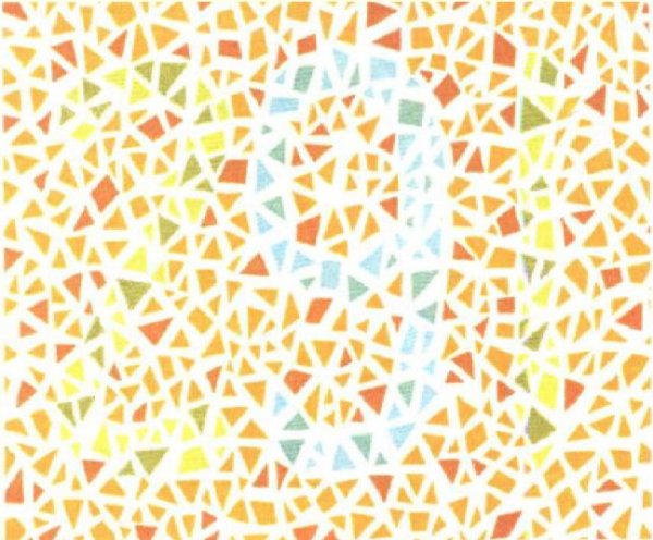 图中有几个奇数？