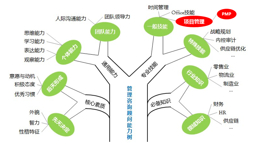 个人能力分析图谱图片