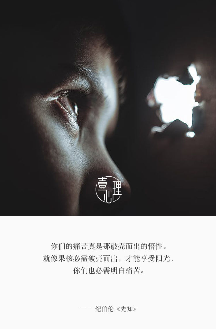 你们的痛苦真是拿破壳而出的悟性.