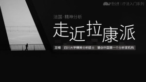 法国•精神分析：走近拉康派