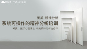 英美精神分析：系统可操作的精神分析