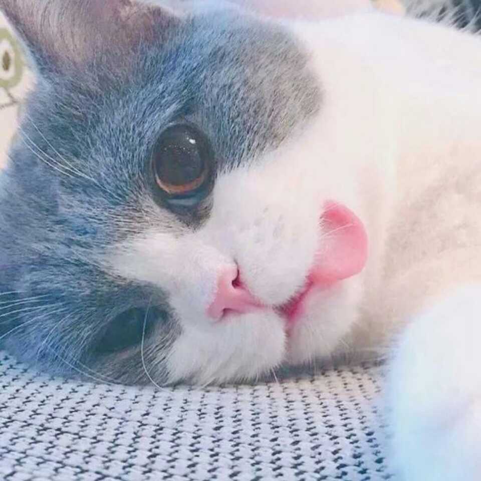 ? 馨月 ?