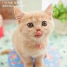 @小黄人的小王纸