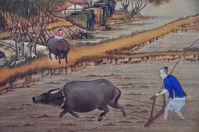 中国古代农耕文明,中原始农耕,中农耕文明_大山谷图库