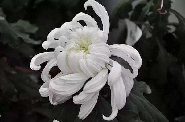 生命永恒亲人离世的伤痛