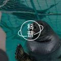 孩子沉迷王者农药和吃鸡,罪魁祸首竟然是它?图片路径