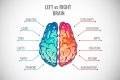 你是左脑人还是右脑人？