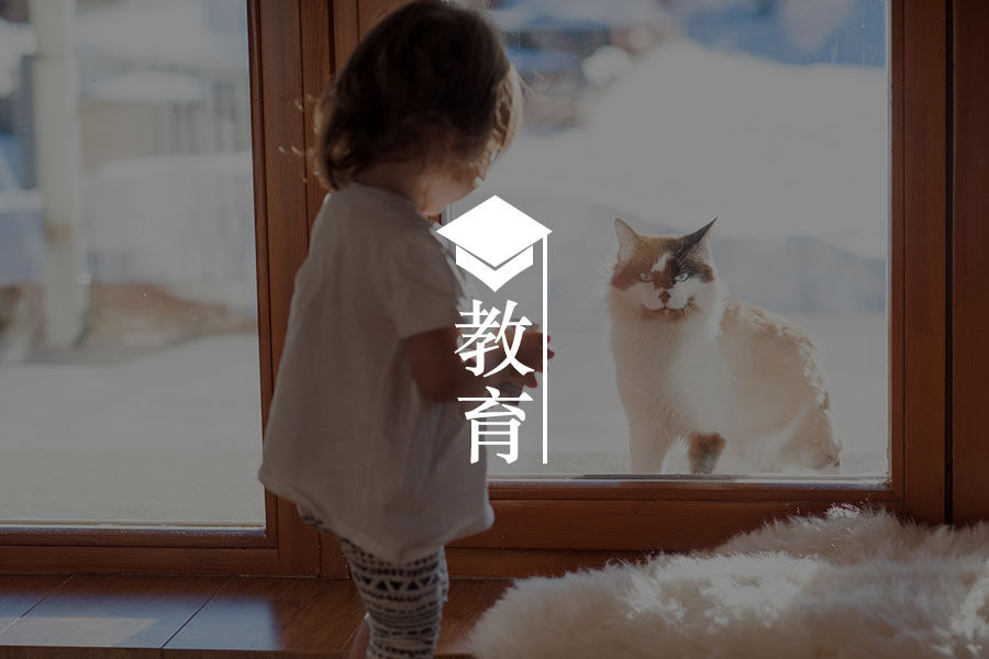 文章封面