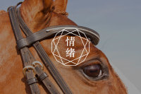 愤怒的时候，我们应该如何自处？| 电影里的心理学