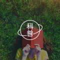 珍惜听支付宝到账声催眠的朋友,他们可能收钱到手软图片路径