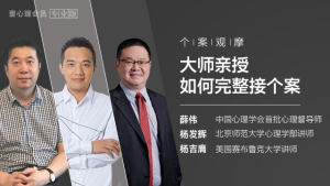 个案观摩：大师亲授如何完整接个案