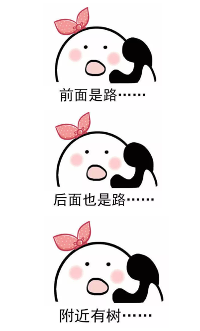 为什么女性多路痴特定空间能力的性别差异