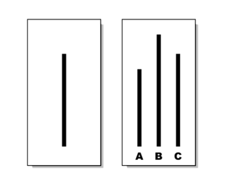 454567.png