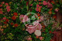 几步分析，教你走出失恋痛苦与阴影