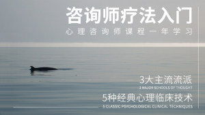 心理咨询技术与疗法入门