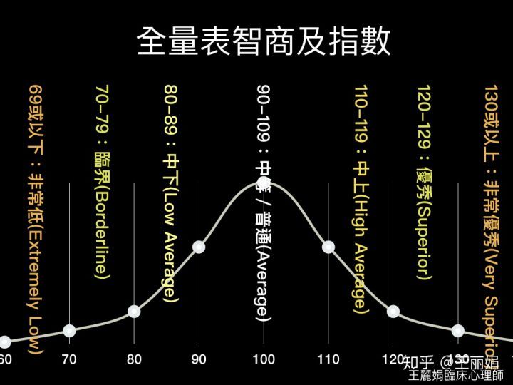 心理师"是的,您看他的语文理解指数特别高,120是优秀程度,百分等级91