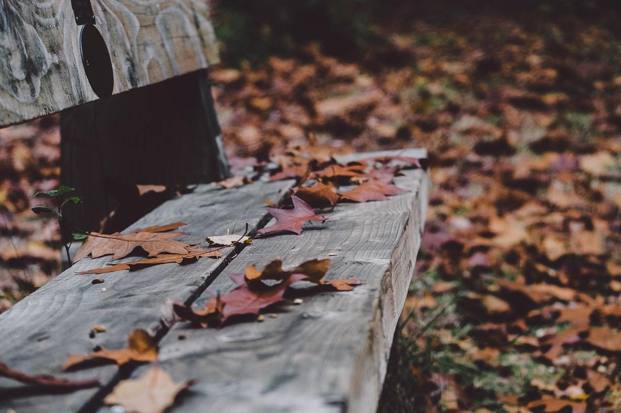 深秋落叶唯美自然风景桌面壁纸-壁纸图片大全