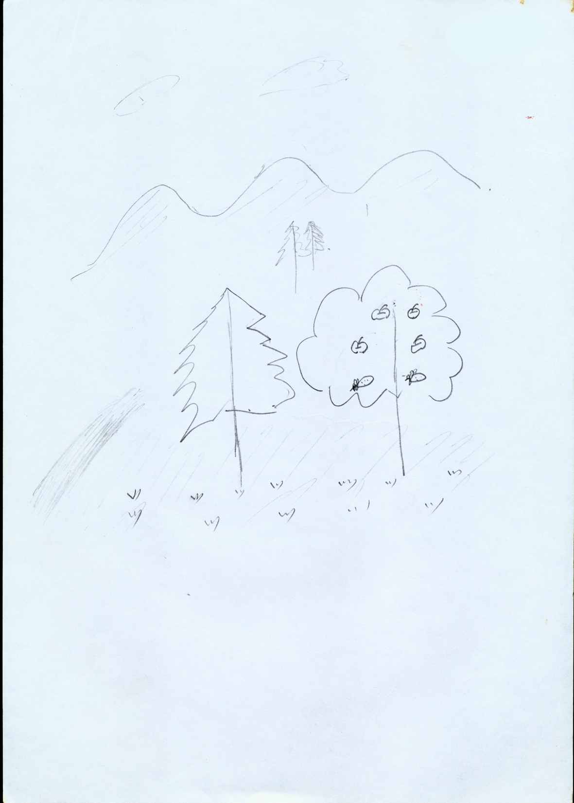 图21：要松和苹果树.png