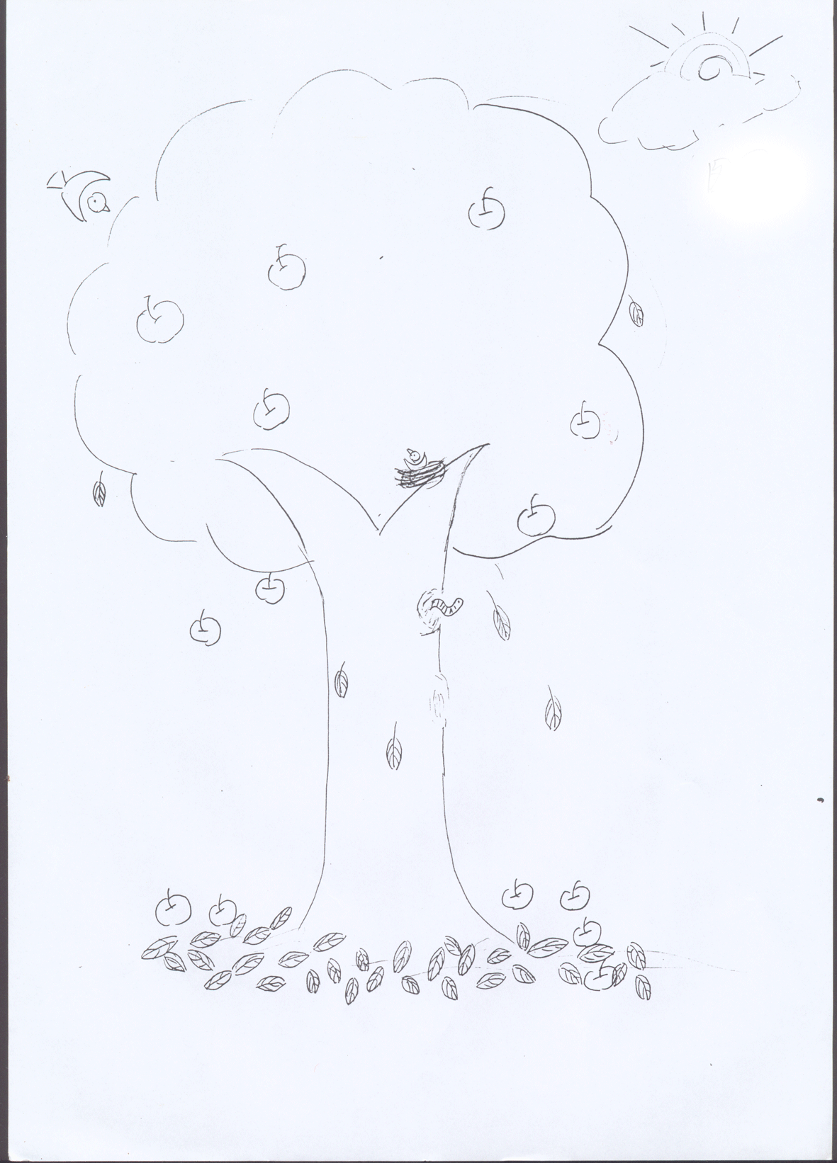 图17：果实掉落的树.png