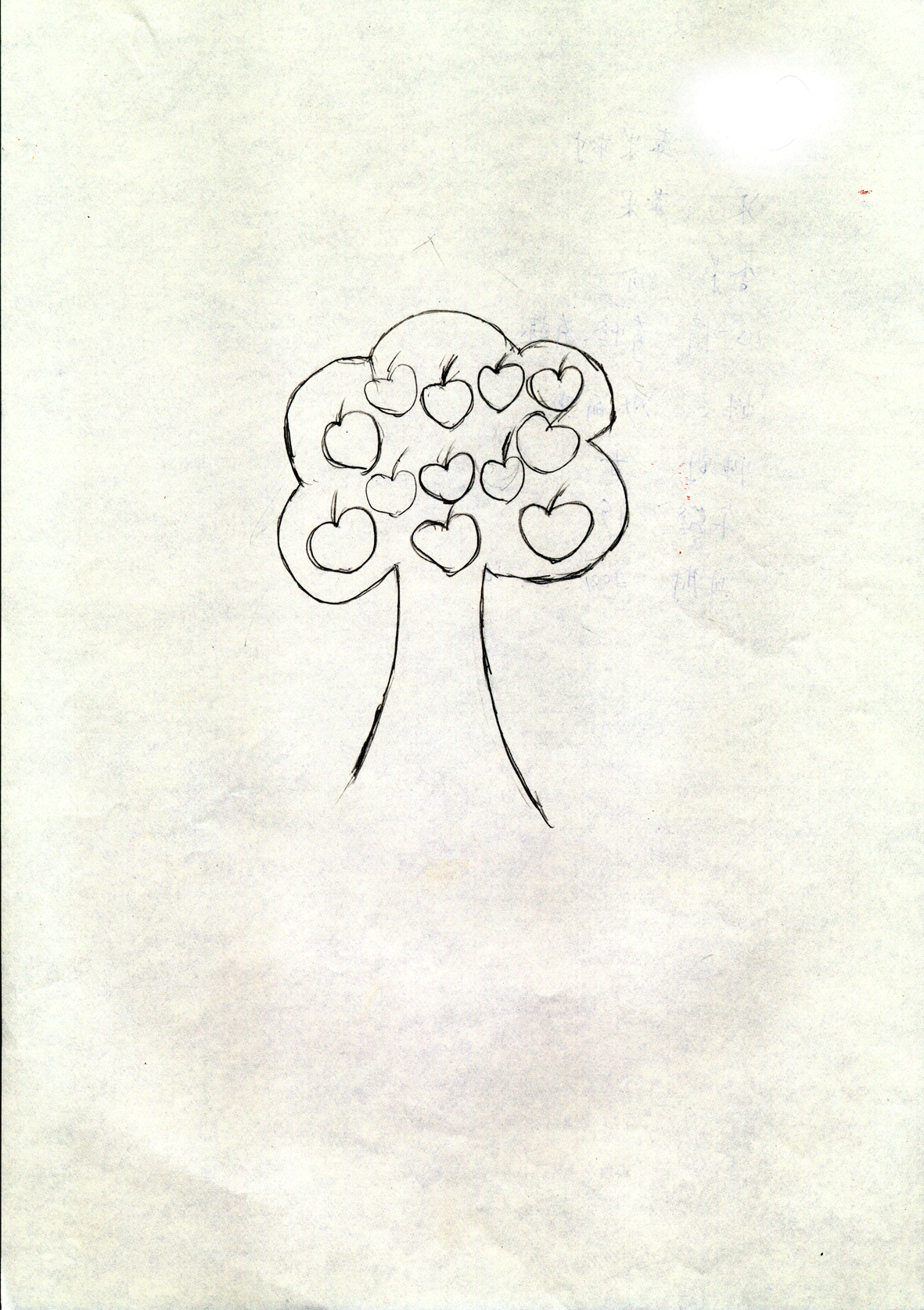 图15：果实大而多的树.png