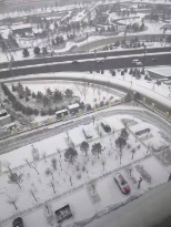 踏雪飞
