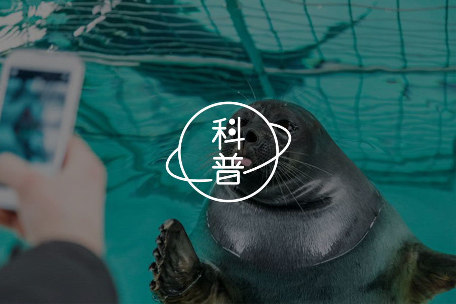 心理学流派：行为主义 - 心理学流派简析-华生-斯金纳-心理学文章-壹心理