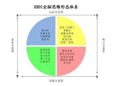 hbdi是赫曼大脑优势量表的简称(herrmann brian dominance instrument
