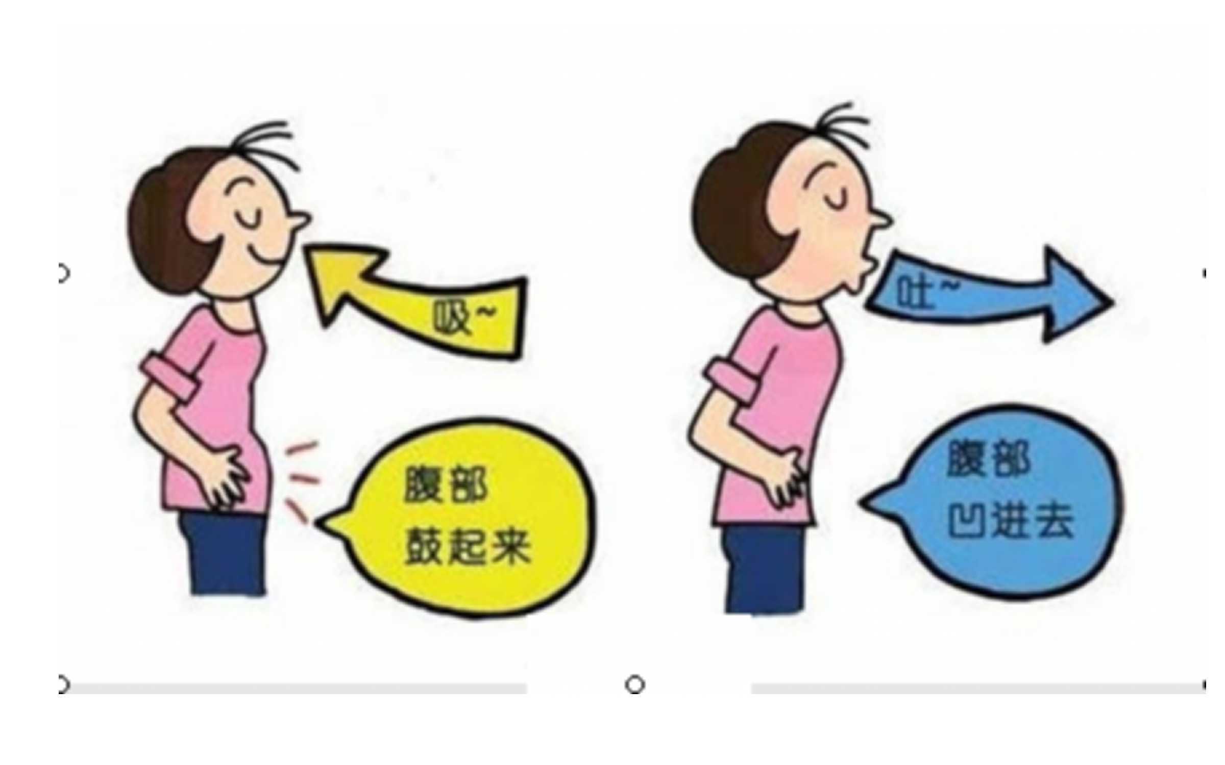 2)屏气  当小腹鼓起充满气体后,屏住呼吸;1)吸气 用鼻子深深吸气(可以