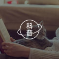 中国人的自尊 | 调和身份冲突,促进价值共融图片路径