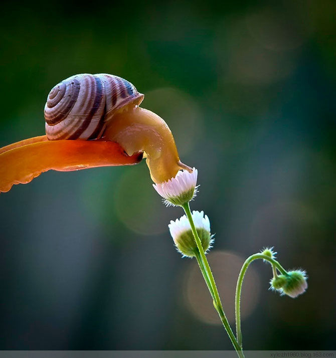 吹进你心灵深处的两首诗