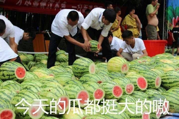 吃完罗志祥的瓜我只关心究竟要不要看伴侣的手机啊