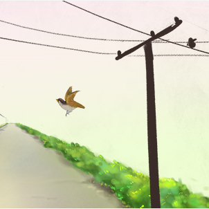 背景图