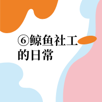 鲸鱼社工的日常|肆七