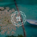 性治疗师：一个隐秘而重要的新兴职业