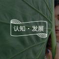 【释梦】学完心理学基础知识，如何开始技能的入门学习