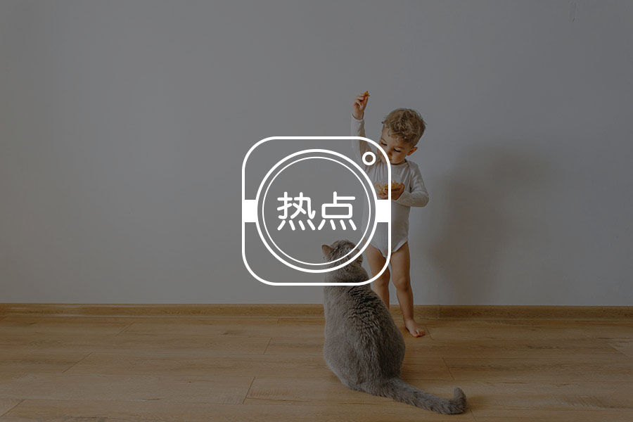 《三十而已》顾佳:太完美是一种错-心理学文章-壹心理 《三十而已》顾佳:太完美是一种错-心理学文章-壹心理